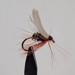 Leadwing Coachman