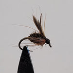 Leadwing Coachman