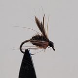Leadwing Coachman