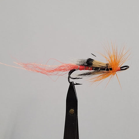 Ally's Shrimp (Double Hook)