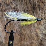 Black Ghost Hairwing