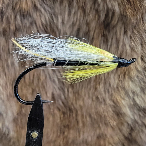 Black Ghost Hairwing
