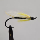 Black Ghost Hairwing