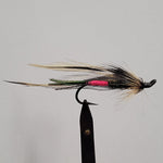 Light Spruce Fly