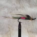 Light Spruce Fly