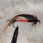 Dark Spruce Fly