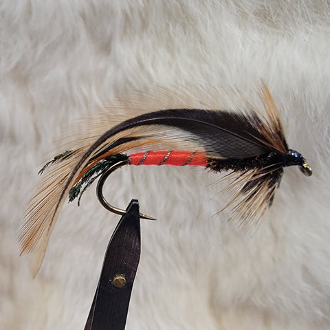 Dark Spruce Fly