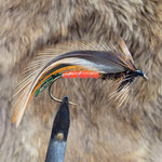 Dark Spruce Fly