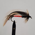 Dark Spruce Fly