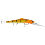 Zanda Shad Shiner