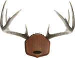 EZ-Mount Showcase Horn Mount Kit