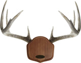 EZ-Mount Showcase Horn Mount Kit