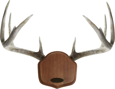 EZ-Mount Showcase Horn Mount Kit