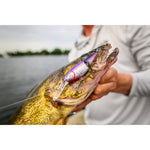 Flicker Shad® Jointed