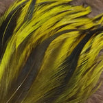 Attractor Badger Saddle Hackle