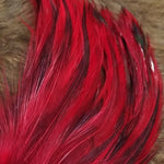 Attractor Badger Saddle Hackle