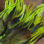 Attractor Badger Saddle Hackle
