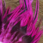 Attractor Badger Saddle Hackle