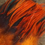 Attractor Badger Saddle Hackle
