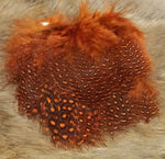 Guineafowl - Large Dot