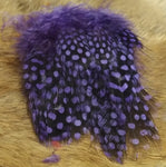 Guineafowl - Large Dot