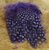 Guineafowl - Large Dot