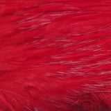 1/2 Genetic Rooster Saddle #1