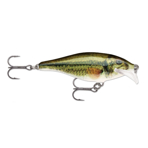 Scatter Rap® Shad