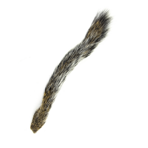 Squirrel tail