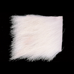 Calf Body Hair