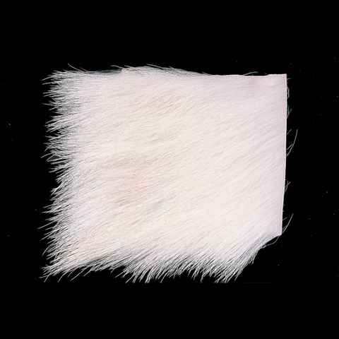 Calf Body Hair