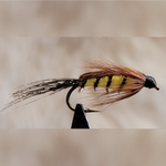 Golden Stonefly