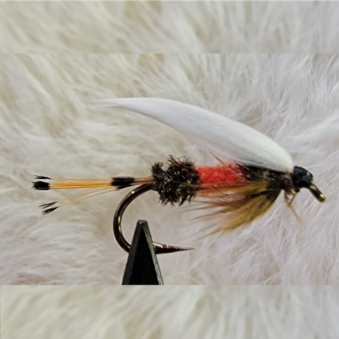 Royal Coachman Wet