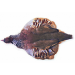 French Partridge Complete Skin