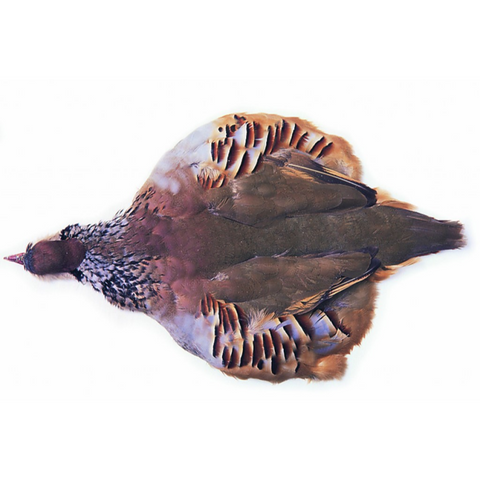 French Partridge Complete Skin