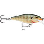 Scatter Rap® Shad