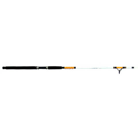 Boat Spinning Rod