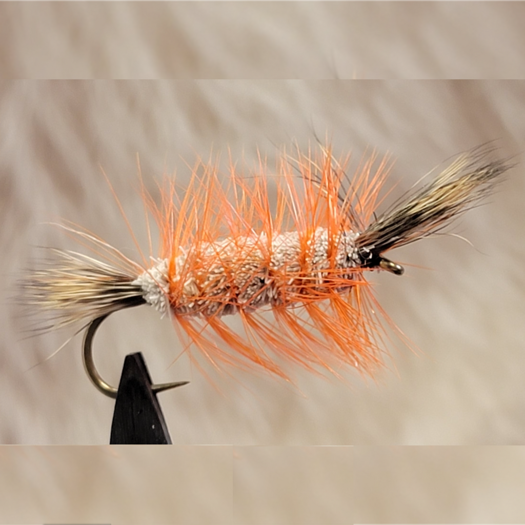 Salmon Bomber - Orange Hackle Brown Tail – Hunted Treasures