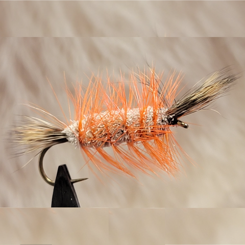 Salmon Bomber - Orange Hackle Brown Tail