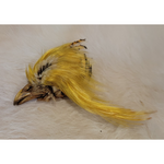 Golden Pheasant Crest