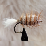 Brown Bug White Tail