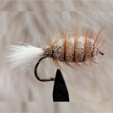 Brown Bug White Tail