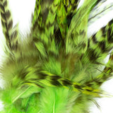 CHINCHILLA HACKLE 3-5in