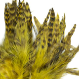 CHINCHILLA HACKLE 3-5in