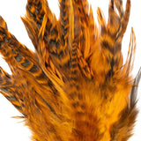 CHINCHILLA HACKLE 3-5in