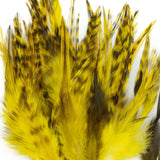 CHINCHILLA HACKLE 3-5in