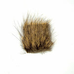 Nutria