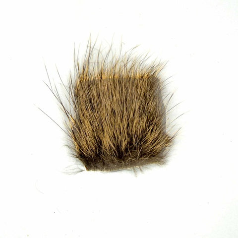 Nutria