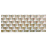 Luhr-Tape (Flash Fish Scale)