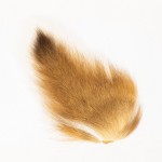 Doetail